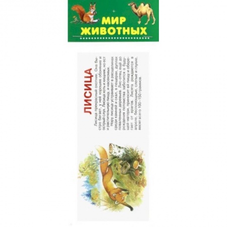 Познавательная литература, книга Мир животных. Набор карточек