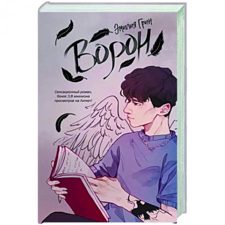 Любовный роман, книга Ворон
