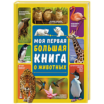 Моя первая большая книга о животных Моя первая большая книга о животных