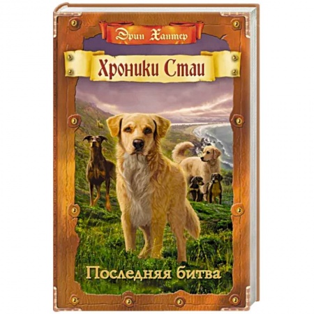 Проза для детей, книга Последняя битва