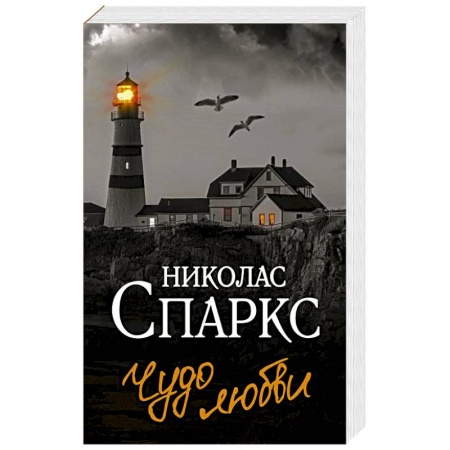 Любовный роман, книга Чудо любви