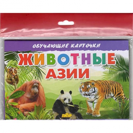 Познавательная литература, книга Животные Азии