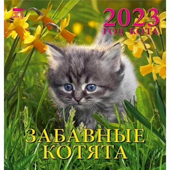 Календарь Год кота. Забавные котята, на 2023 год