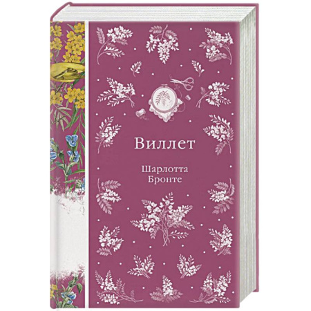 Классика, современная литература, книга Виллет (книга #43)