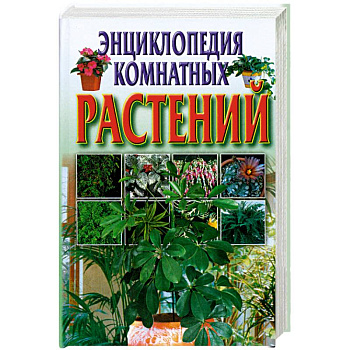 Энциклопедия комнатных растений