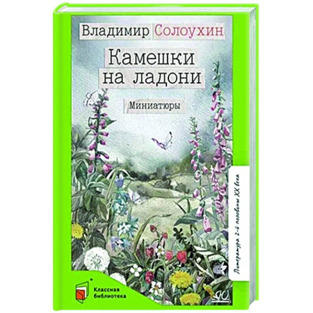 Проза для детей, книга Камешки на ладони. Миниатюры