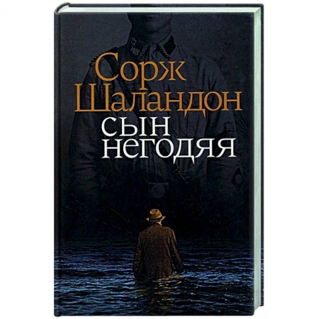 Историческая художественная проза, книга Сын негодяя