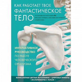 Как работает твое фантастическое тело