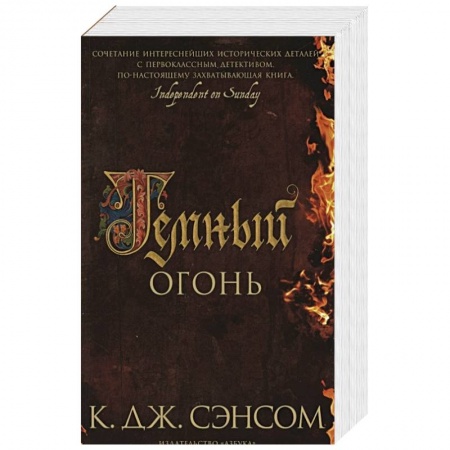 Историческая художественная проза, книга Темный огонь