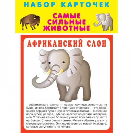 Дошкольникам, книга Набор карточек 'Самые быстрые животные'