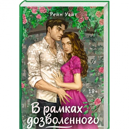 Любовный роман, книга В рамках дозволенного