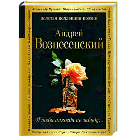 Классика, современная литература, книга Я тебя никогда не забуду...