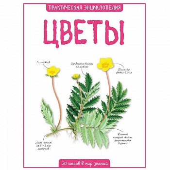 Цветы. Практическая энциклопедия