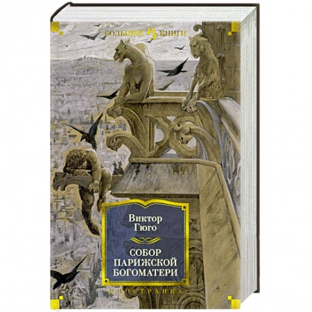 Книги, книга Собор Парижской Богоматери