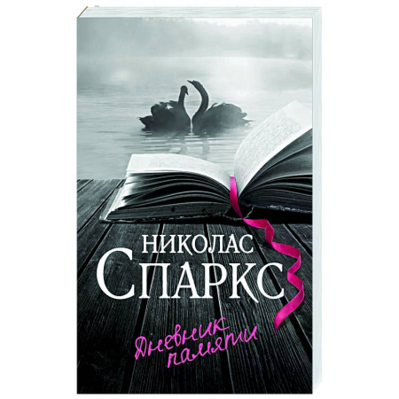 Любовный роман, книга Дневник памяти