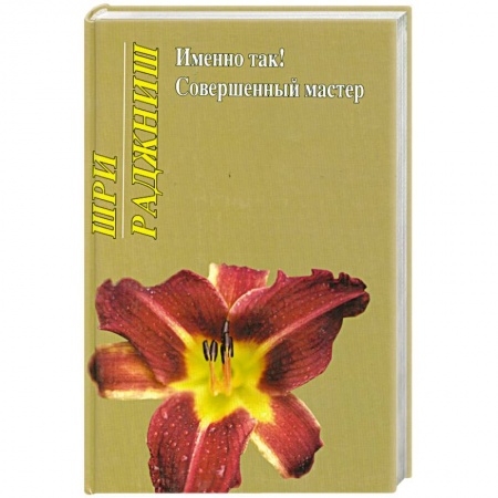 Книги, книга Именно так! Совершенный мастер
