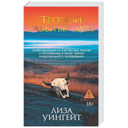 Детективы, триллеры, книга Тропой забытых душ
