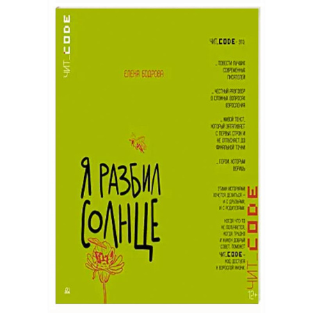 Проза для детей, книга Я разбил солнце