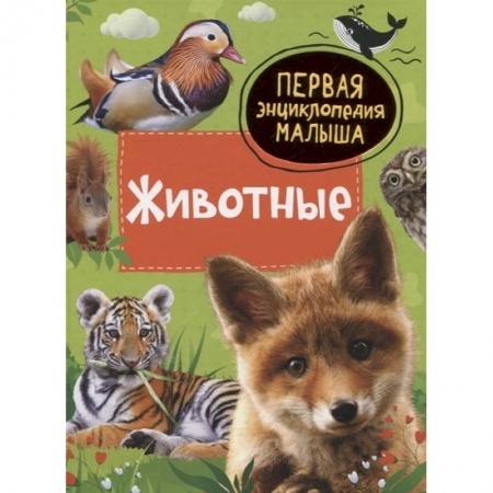 Познавательная литература, книга Животные. Первая энциклопедия малыша