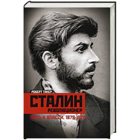 Мемуары, биографии, книга Сталин­революционер. Путь к власти. 1879—1929