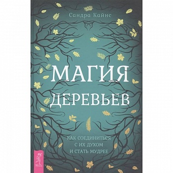 Магия деревьев: как соединиться с их духом и стать мудрее