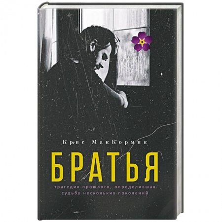 Классика, современная литература, книга Братья