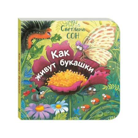 Познавательная литература, книга Как живут букашки