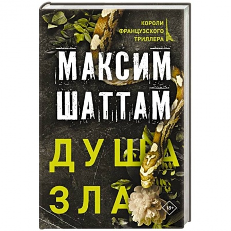 Детективы, триллеры, книга Душа зла