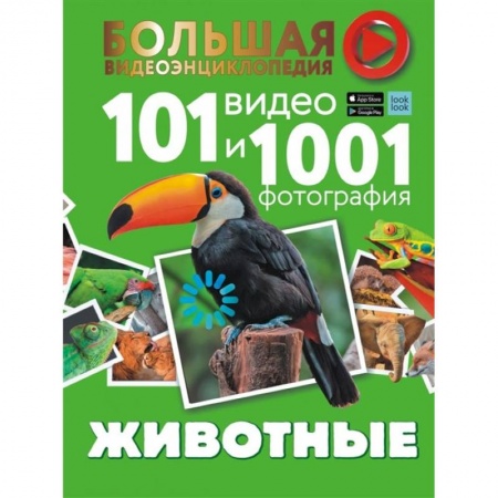 Познавательная литература, книга Животные. 101 видео и 1001 фотография