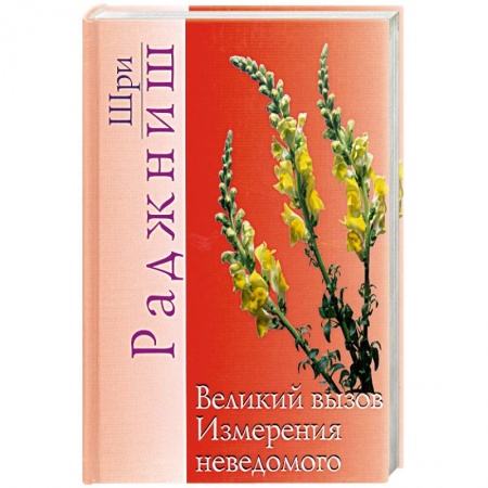 Книги, книга Великий вызов. Измерения неведомого