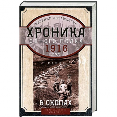 Книги, книга В окопах. 1916 год. Хроника одного полка