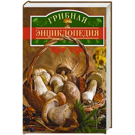 Книги, книга Грибная энциклопедия