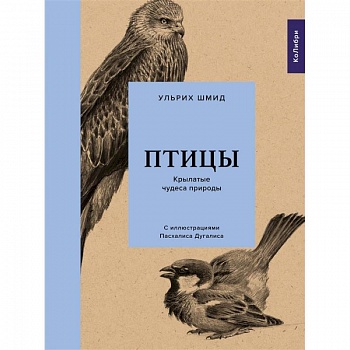 Птицы.Крылатые чудеса природы