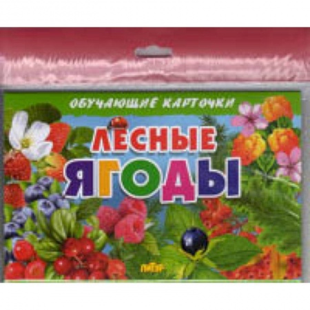 Познавательная литература, книга Лесные ягоды