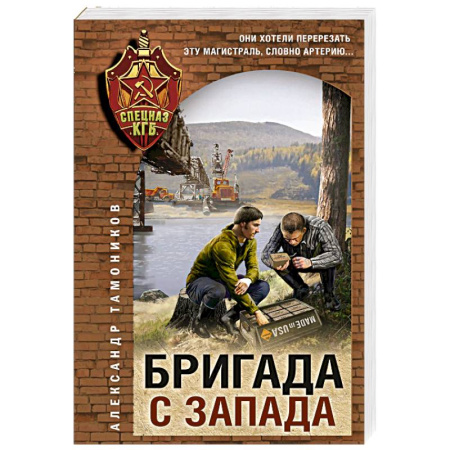Детективы, триллеры, книга Бригада с запада