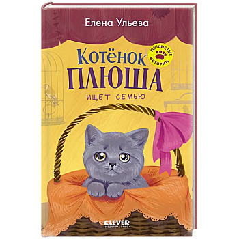 Котенок Плюша ищет семью Котенок Плюша ищет семью