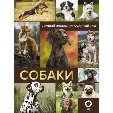 Ветеринария, книга Собаки. Лучший иллюстрированный гид