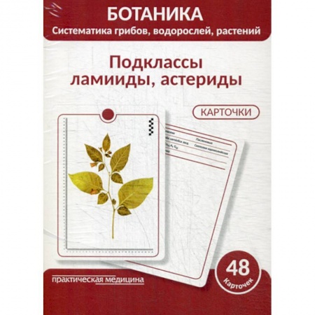 Естественные науки, книга Ботаника. Систематика грибов, водорослей, растений. Подклассы ламииды, астериды