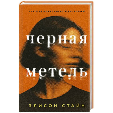Классика, современная литература, книга Черная метель