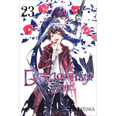 Развлечения. Праздники. Юмор, книга Бездомный Бог. Том 23