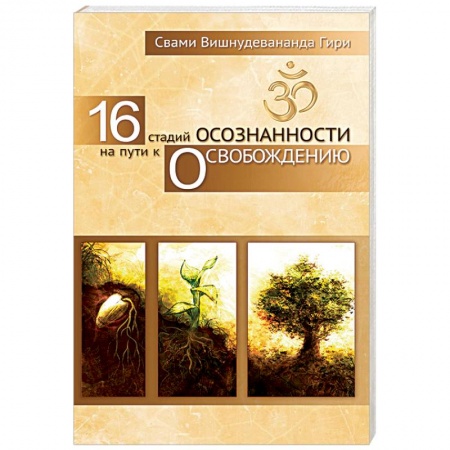 Йога и другие духовные практики, течения, книга 16 стадий осознанности на пути к освобождению