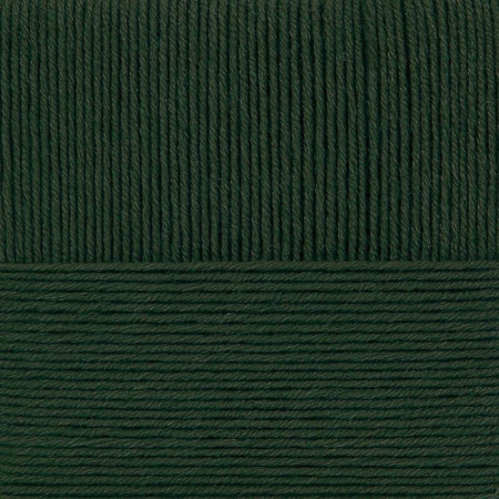 Конкурентная. Цвет 10-Тайга. 10x100 г