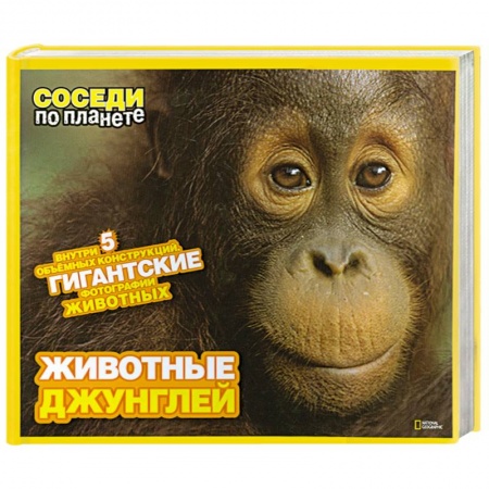 Книги, книга Животные джунглей