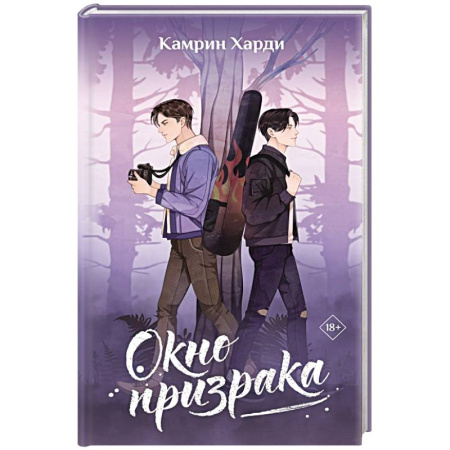 Фантастика, фэнтези, книга Окно призрака