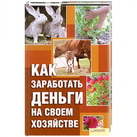 Книги, книга Как заработать деньги на своем хозяйстве