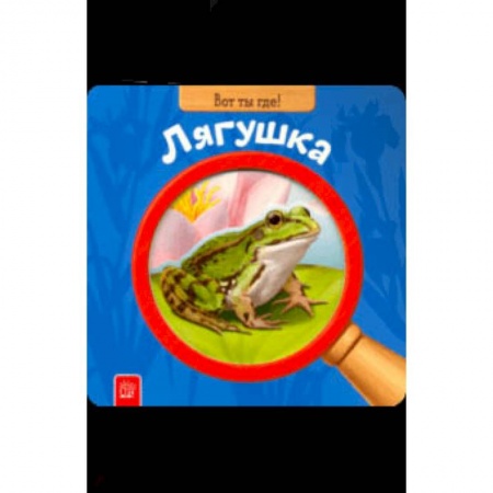 Книги для самых маленьких (0-3 года), книга Вот ты где! Лягушка